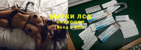 ГАЛЛЮЦИНОГЕННЫЕ ГРИБЫ Баксан