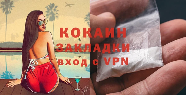 ГАЛЛЮЦИНОГЕННЫЕ ГРИБЫ Баксан