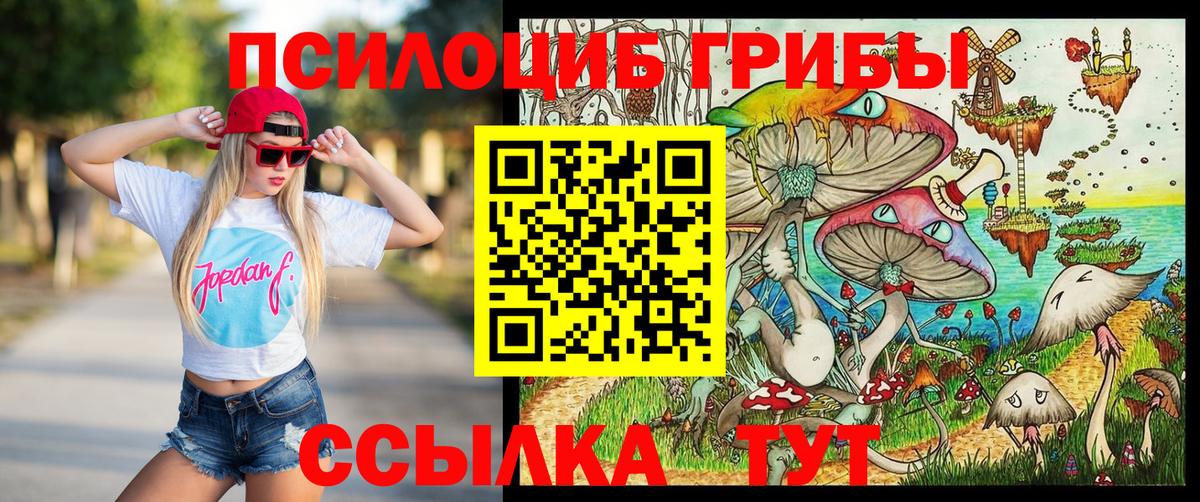 Галлюциногенные грибы GOLDEN TEACHER  Вход с VPN  Дальнегорск  Псилоцибиновые грибы Magic Shrooms 