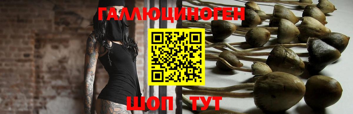 Псилоцибиновые грибы мухоморы Дальнегорск